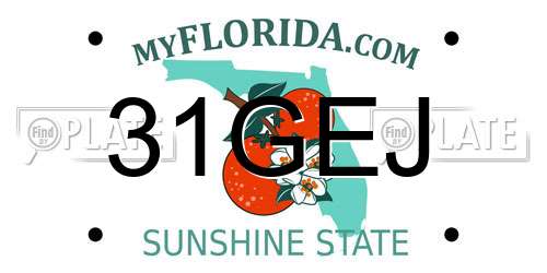 31GEJ Florida License Plate