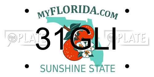 31GLI Florida License Plate
