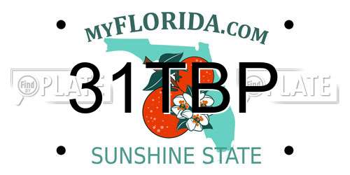 31TBP Florida License Plate