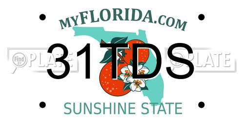 31TDS Florida License Plate