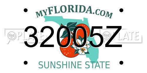 32005Z Florida License Plate