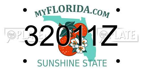 32011Z Florida License Plate