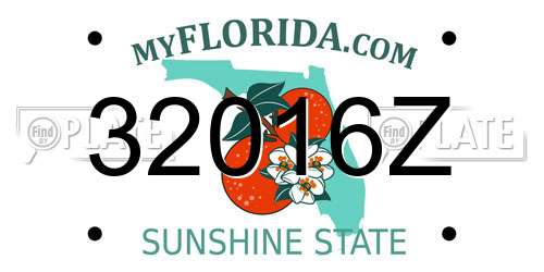 32016Z Florida License Plate