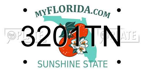 3201TN Florida License Plate