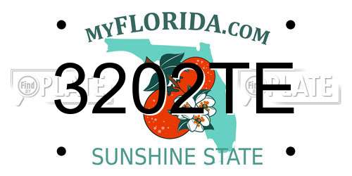 3202TE Florida License Plate