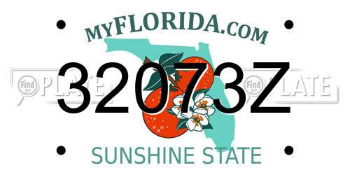 32073Z Florida License Plate