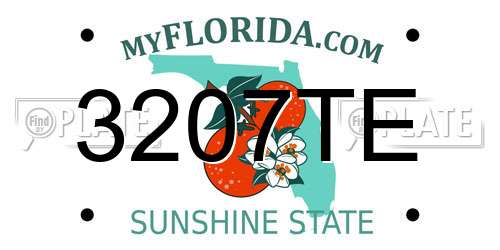 3207TE Florida License Plate