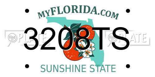 3208TS Florida License Plate