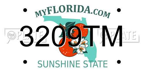 3209TM Florida License Plate