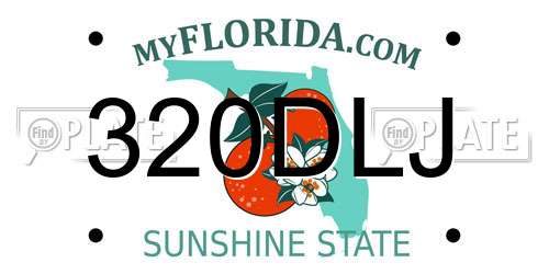 320DLJ Florida License Plate