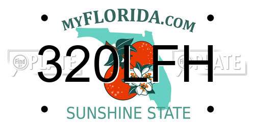 320LFH Florida License Plate