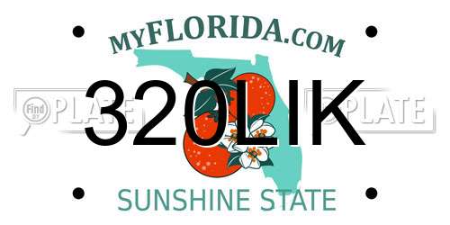 320LIK Florida License Plate