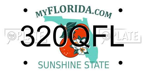 320QFL Florida License Plate