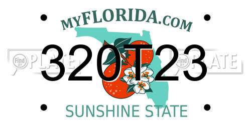 320T23 Florida License Plate