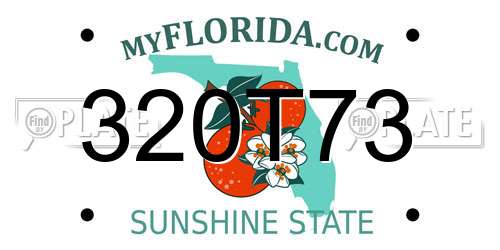 320T73 Florida License Plate