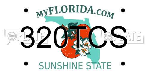 320TCS Florida License Plate