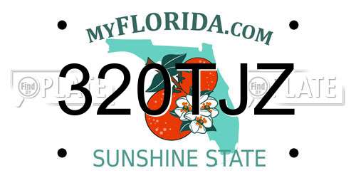 320TJZ Florida License Plate