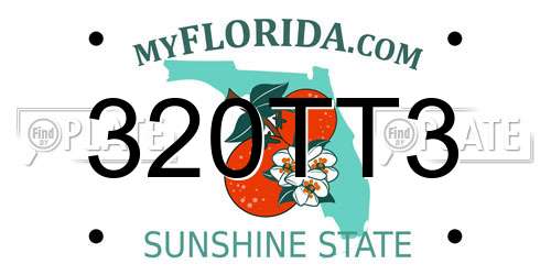 320TT3 Florida License Plate