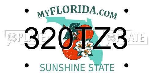 320TZ3 Florida License Plate