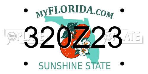 320Z23 Florida License Plate