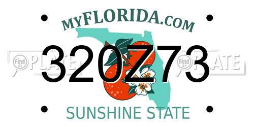 320Z73 Florida License Plate