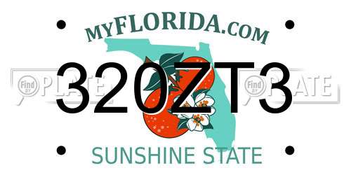 320ZT3 Florida License Plate