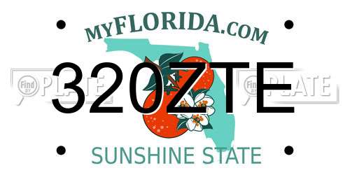 320ZTE Florida License Plate