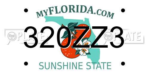 320ZZ3 Florida License Plate