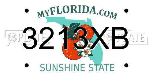 3213XB Florida License Plate