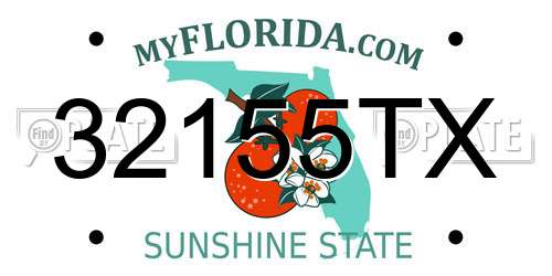 32155TX Florida License Plate