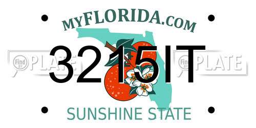 3215IT Florida License Plate