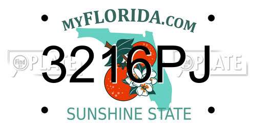 3216PJ Florida License Plate