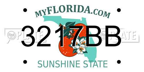 3217BB Florida License Plate