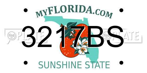 3217BS Florida License Plate