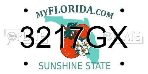3217GX Florida License Plate