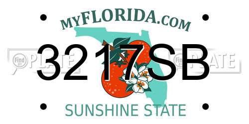 3217SB Florida License Plate