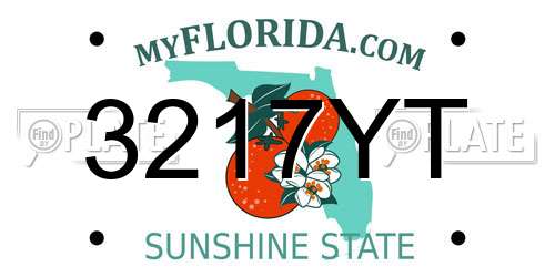 3217YT Florida License Plate