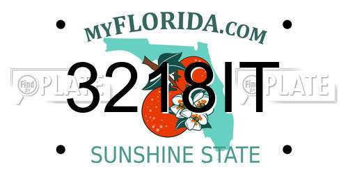 3218IT Florida License Plate