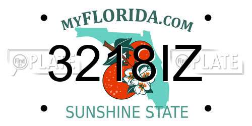 3218IZ Florida License Plate