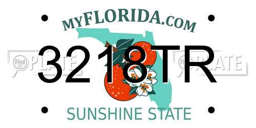 3218TR Florida License Plate