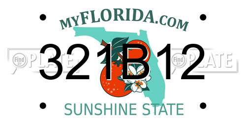 321B12 Florida License Plate