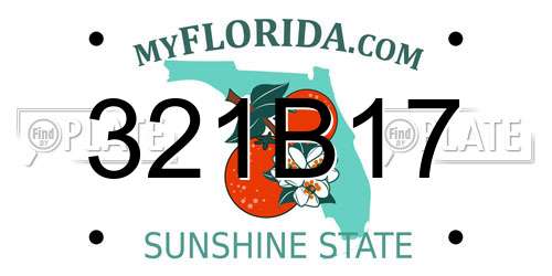 321B17 Florida License Plate