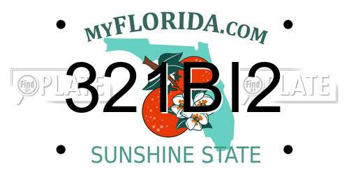 321BI2 Florida License Plate