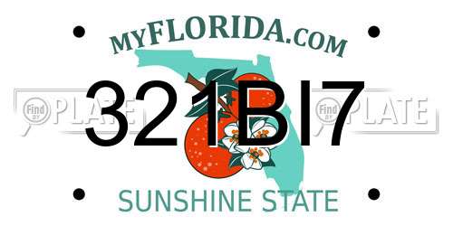 321BI7 Florida License Plate