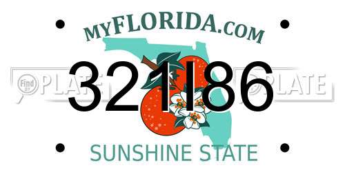 321I86 Florida License Plate