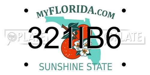 321IB6 Florida License Plate