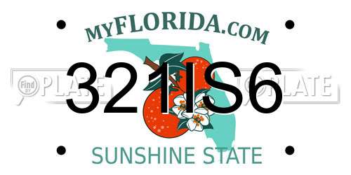 321IS6 Florida License Plate