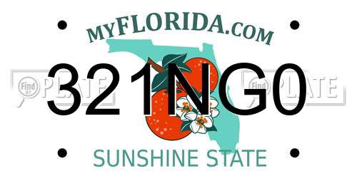 321NG0 Florida License Plate