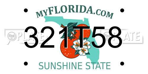 321T58 Florida License Plate