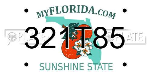 321T85 Florida License Plate